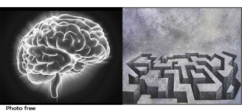 cervello - labirinto il cervello è un labirinto