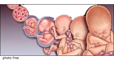 feti crescita progressiva dei feti