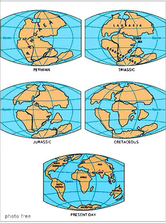 Pangea la Pangea e la separazione dei continenti