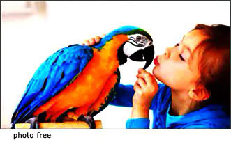 pappagallo pappagallo terapeutico